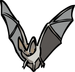 Bat