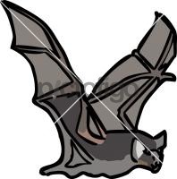 Bat