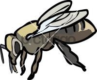 Bee