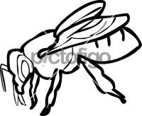 BeeFreehand Image