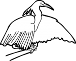 Black Heron freehand drawings