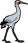 Brolga