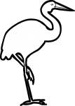 Brolga