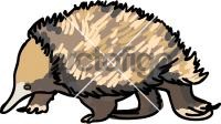 EchidnaFreehand Image