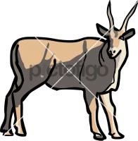 Eland