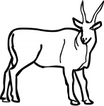 Eland freehand drawings