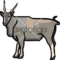 Eland