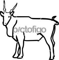 Eland