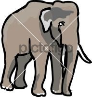 ElephantFreehand Image