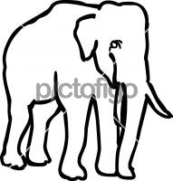 ElephantFreehand Image