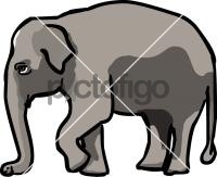 ElephantFreehand Image