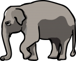 Elephant freehand drawings