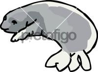 Elephant SealFreehand Image