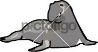 Elephant SealFreehand Image