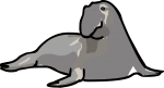 Elephant Seal freehand drawings