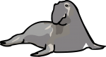 Elephant Seal