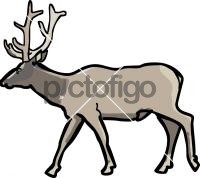 Elk WapitiFreehand Image