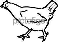 ChickenFreehand Image