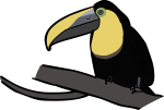 Choco Toucan