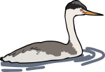 Clark Grebe