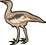 Denham Bustard