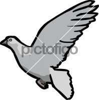 DoveFreehand Image