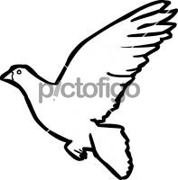 Dove