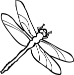 Dragonfly freehand drawings