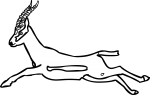 Gazelle freehand drawings