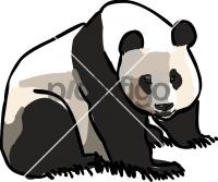 Giant PandaFreehand Image