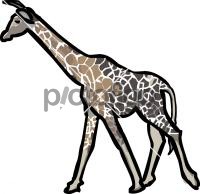 GiraffeFreehand Image