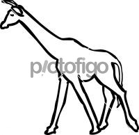 GiraffeFreehand Image