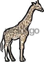 GiraffeFreehand Image