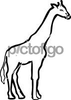 GiraffeFreehand Image