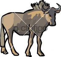 Gnu