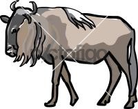 Gnu