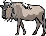 Gnu