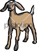 GoatFreehand Image