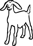 Goat freehand drawings