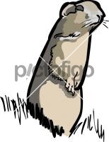 GopherFreehand Image