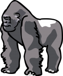 Gorilla freehand drawings