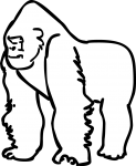 Gorilla freehand drawings