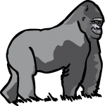 Gorilla