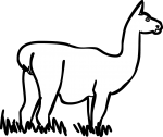 Guanaco freehand drawings