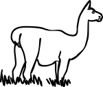 Guanaco