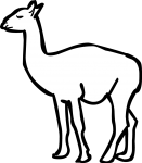 Guanaco freehand drawings