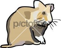 HamsterFreehand Image