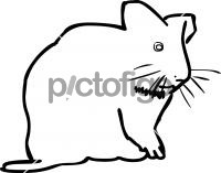 HamsterFreehand Image