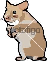 HamsterFreehand Image