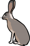 Hare